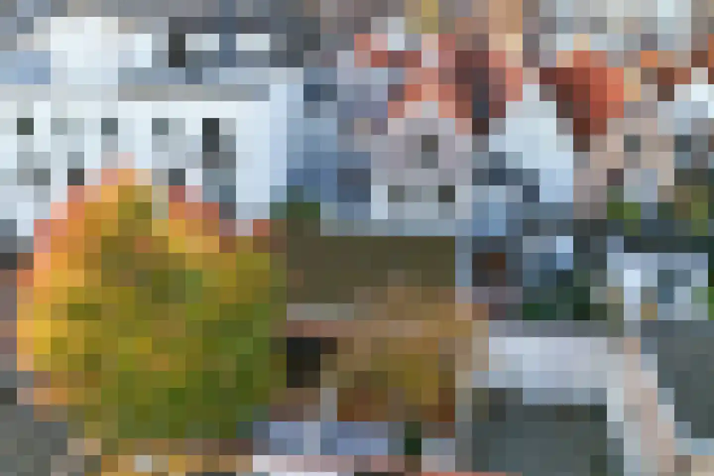 Voordam 11 D Alkmaar thumbnail 43