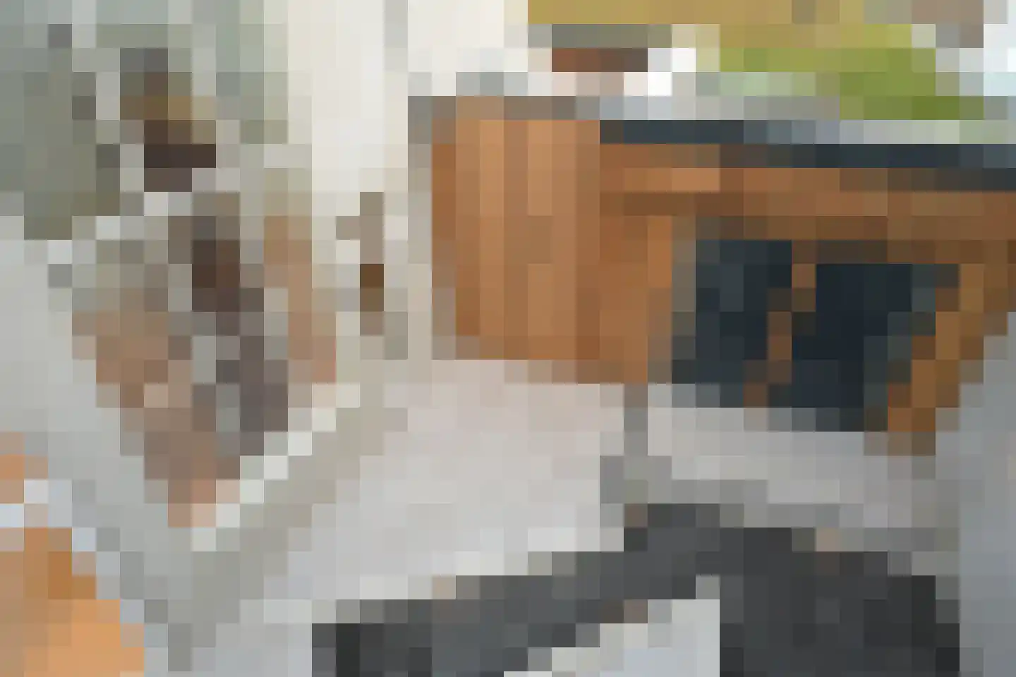 Voordam 11 D Alkmaar thumbnail 5