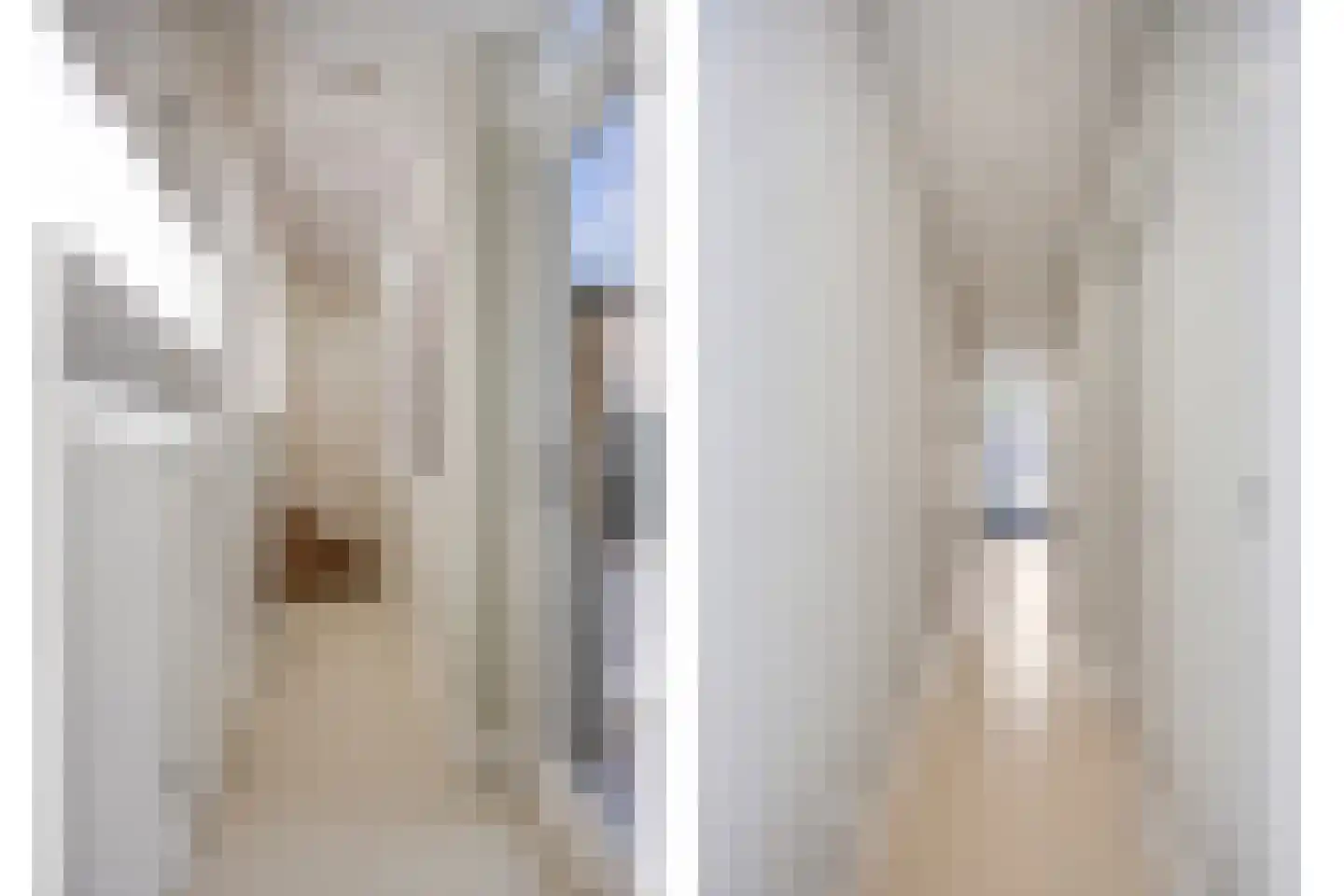 Voordam 11 F Alkmaar thumbnail 24