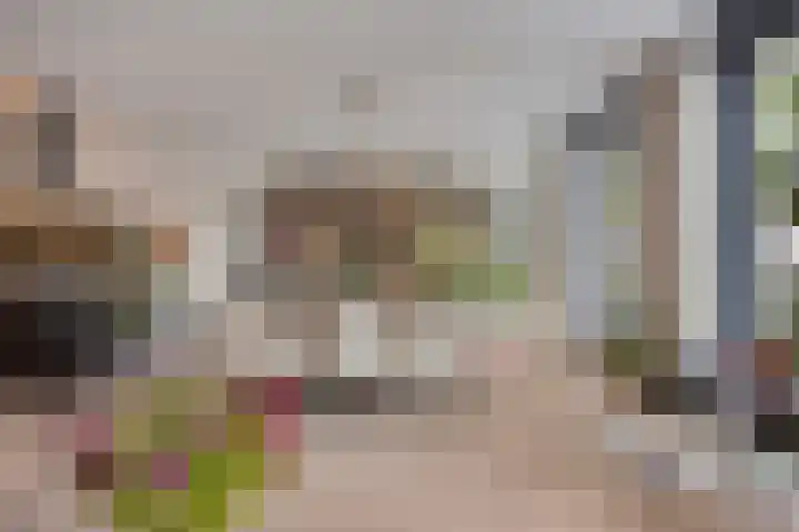 Voordam 23 Alkmaar thumbnail 15