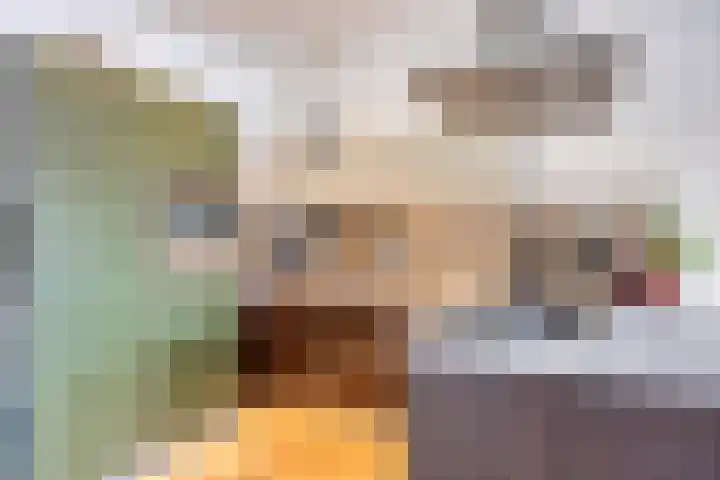 Voordam 23 Alkmaar thumbnail 23