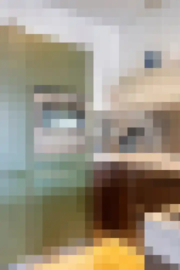 Voordam 23 Alkmaar thumbnail 25