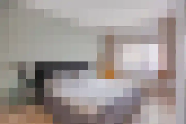 Voordam 23 Alkmaar thumbnail 28