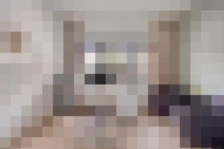 Voordam 23 Alkmaar thumbnail 33