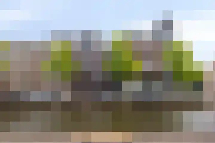 Voordam 23 Alkmaar thumbnail 4