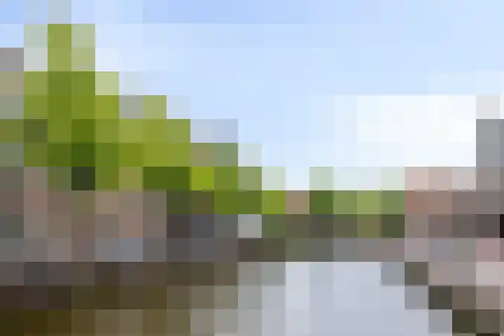 Voordam 23 Alkmaar thumbnail 5