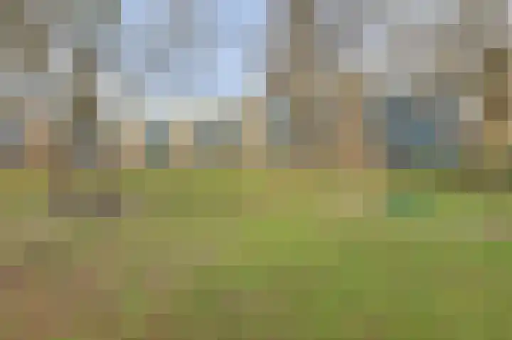 Voordek 17 Amsterdam thumbnail 31