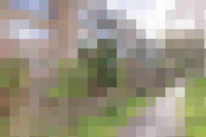 Voordek 58 Amsterdam thumbnail 28
