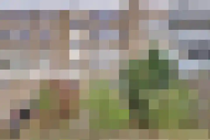 Voordek 58 Amsterdam thumbnail 5