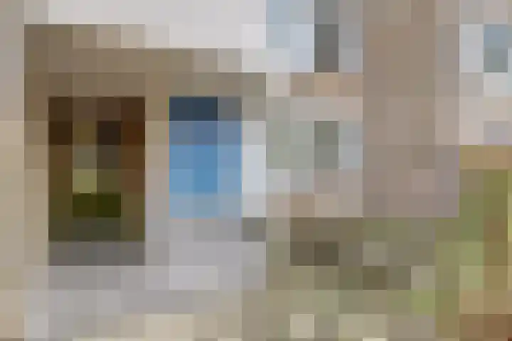 Voordek 58 Amsterdam thumbnail 6