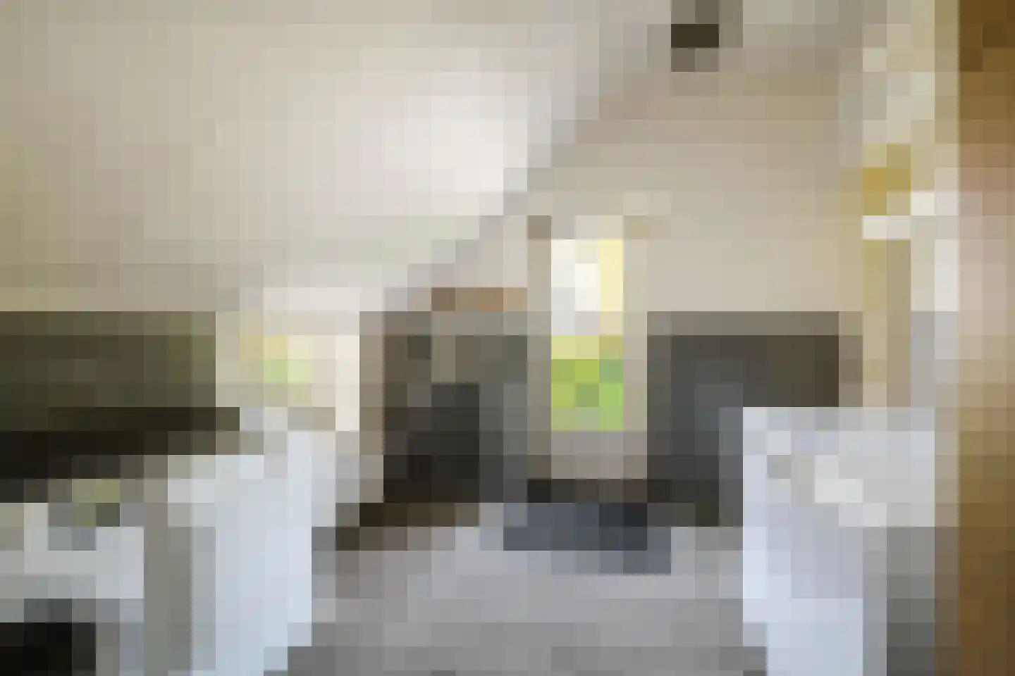 Voordersteeg 4 Twello thumbnail 20