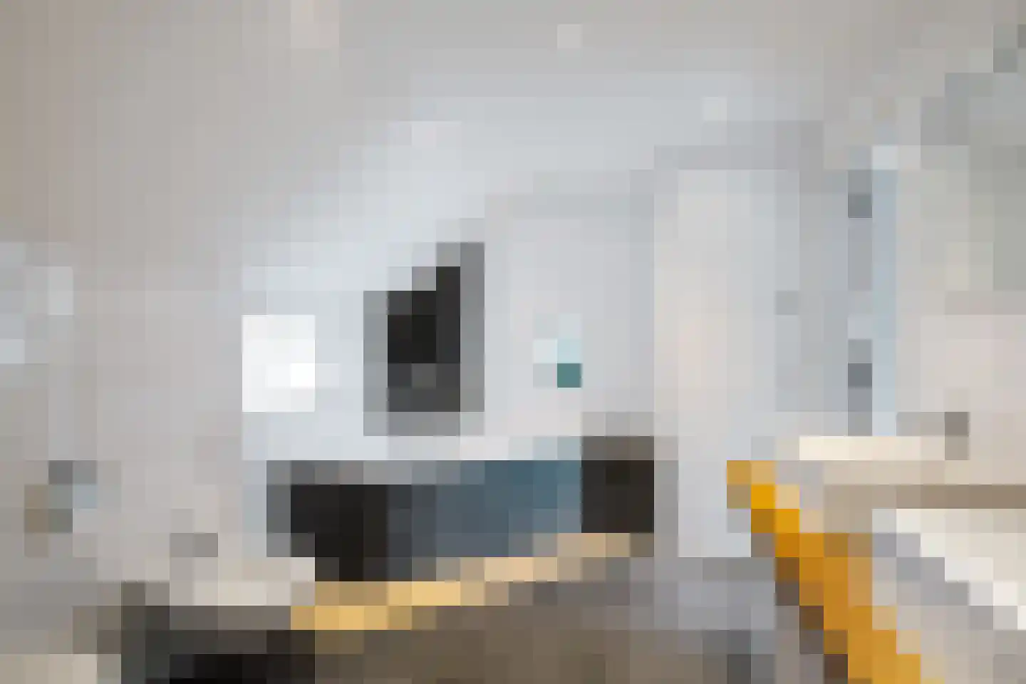 Voordersteeg 4 Twello thumbnail 30