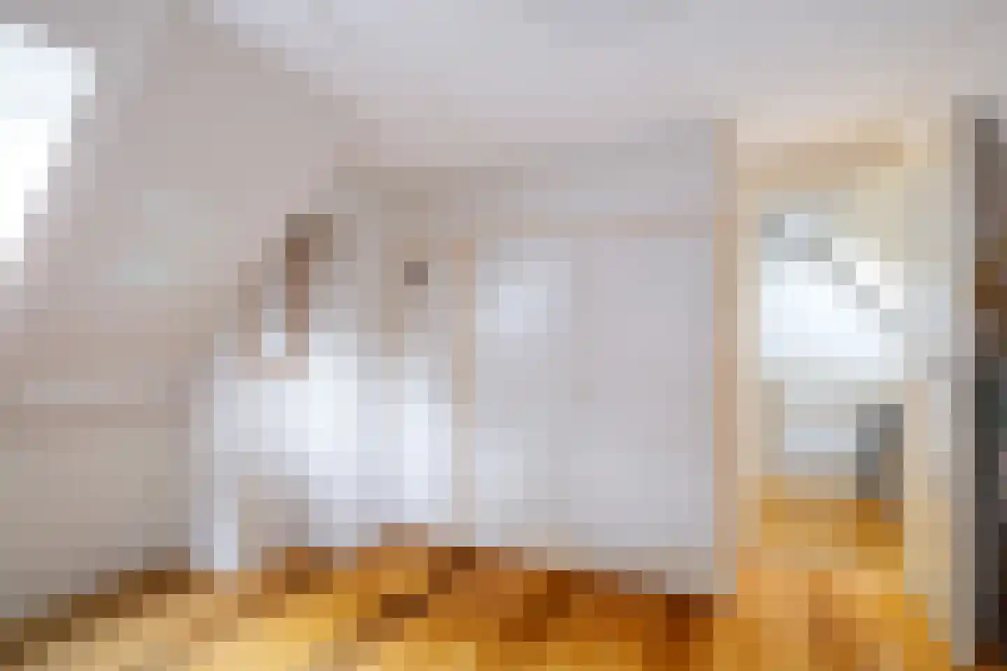 Voordersteeg 4 Twello thumbnail 35