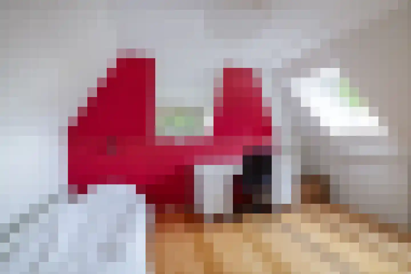 Voordersteeg 4 Twello thumbnail 36