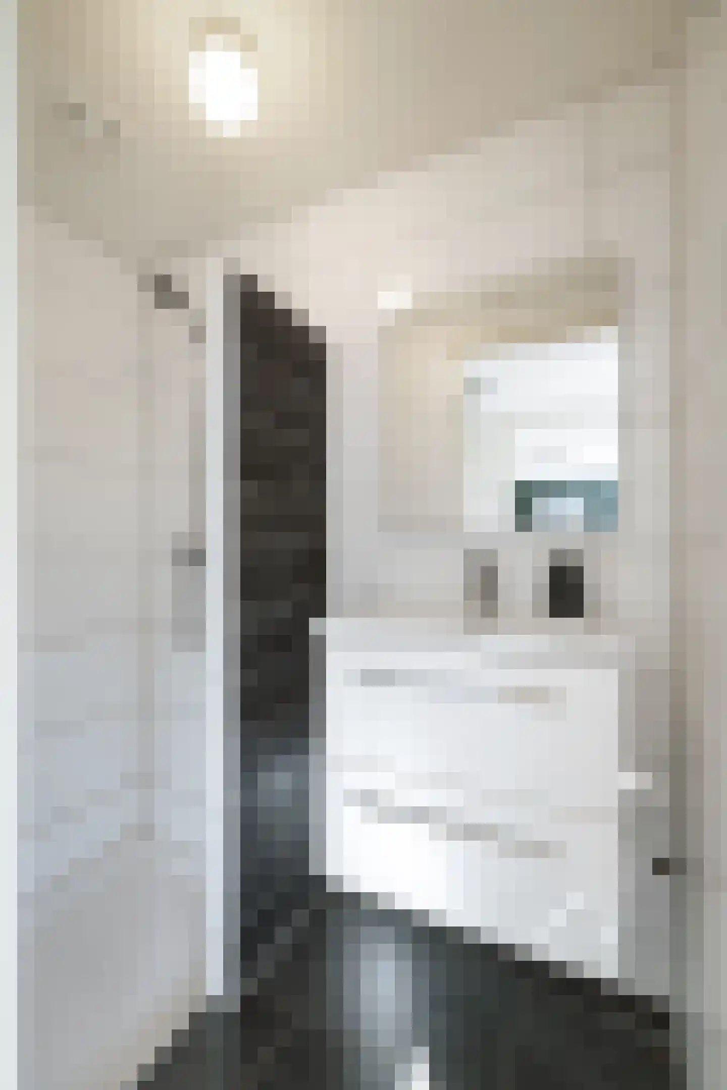 Voordersteeg 4 Twello thumbnail 39
