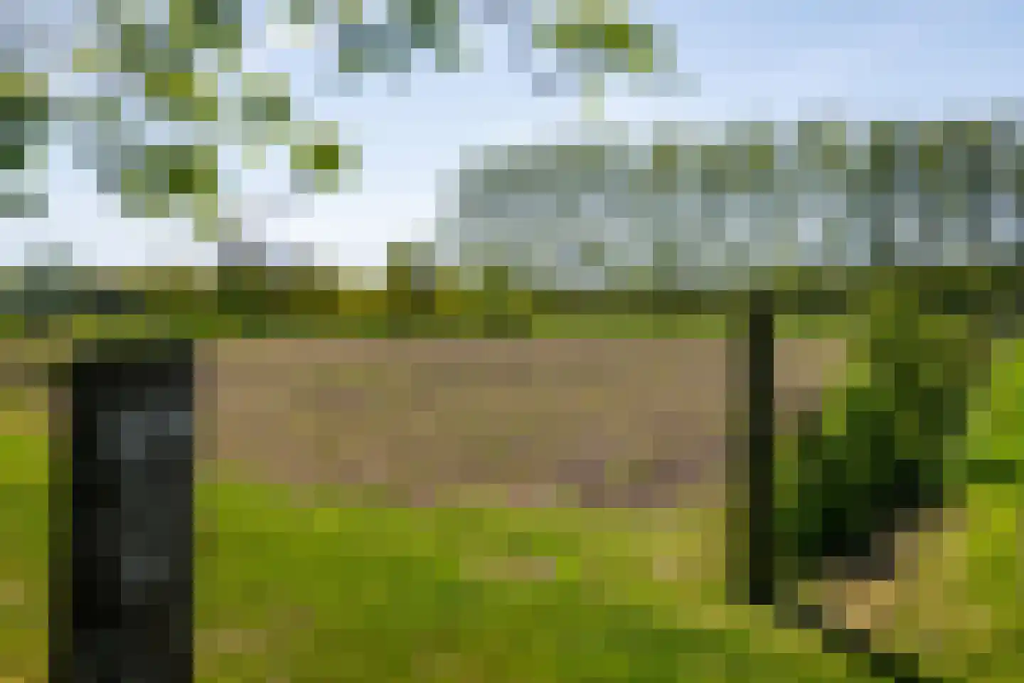 Voordersteeg 4 Twello thumbnail 42