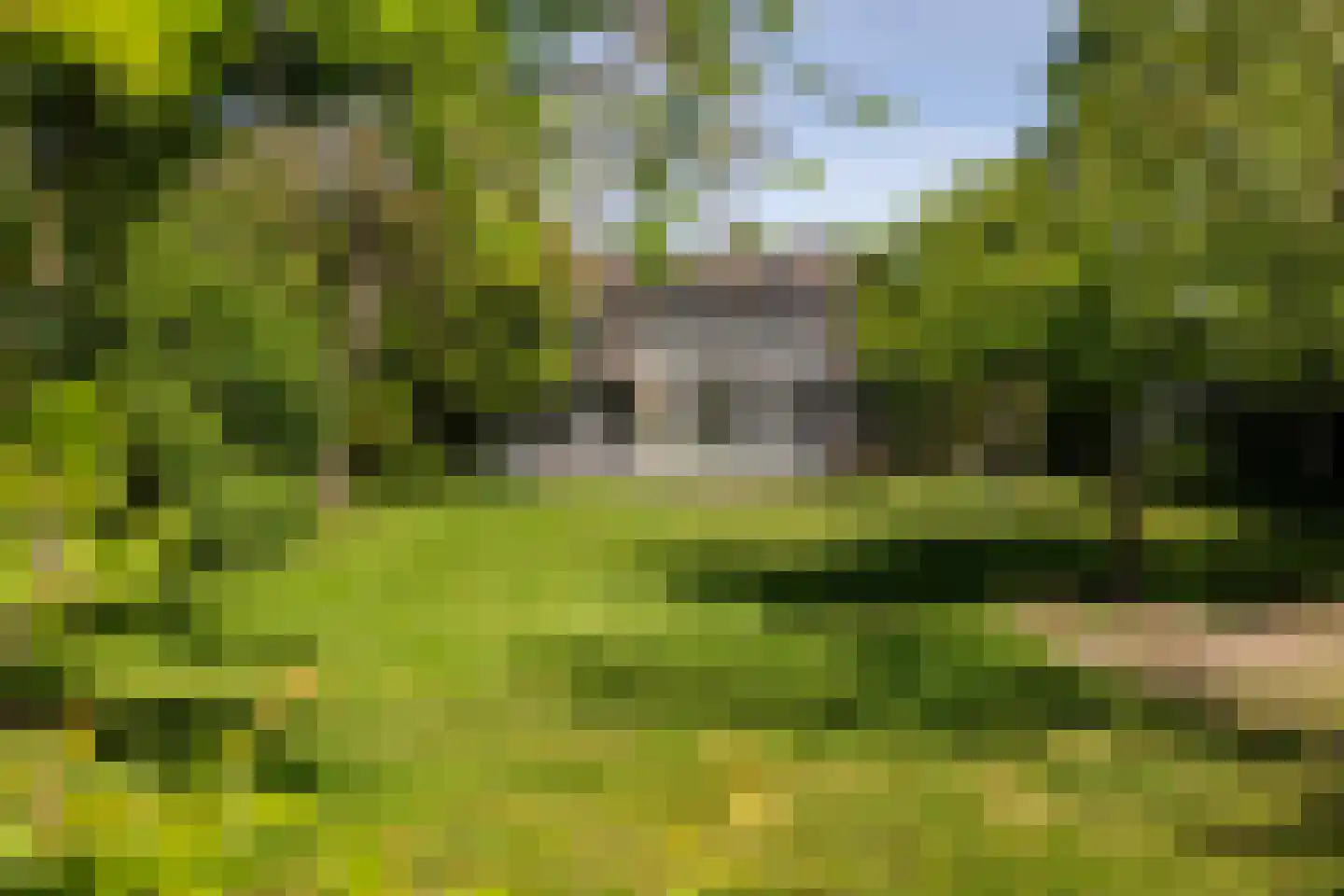 Voordersteeg 4 Twello thumbnail 43