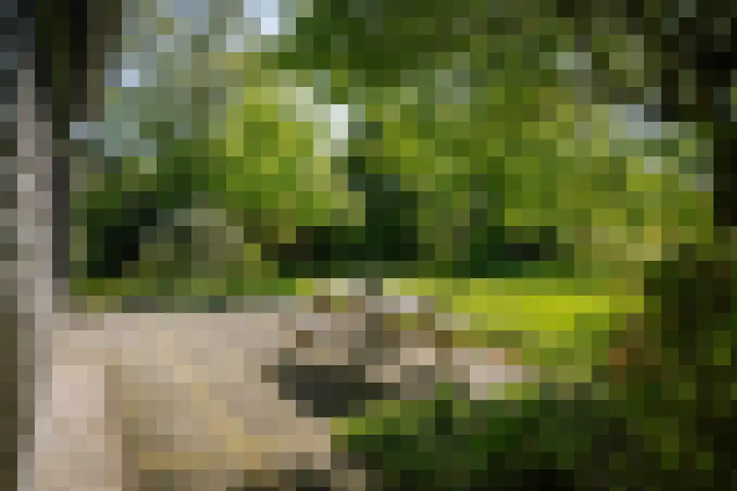 Voordersteeg 4 Twello thumbnail 45