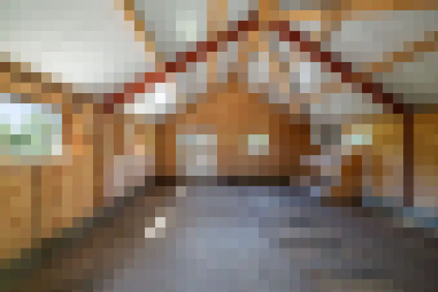 Voordersteeg 4 Twello thumbnail 48