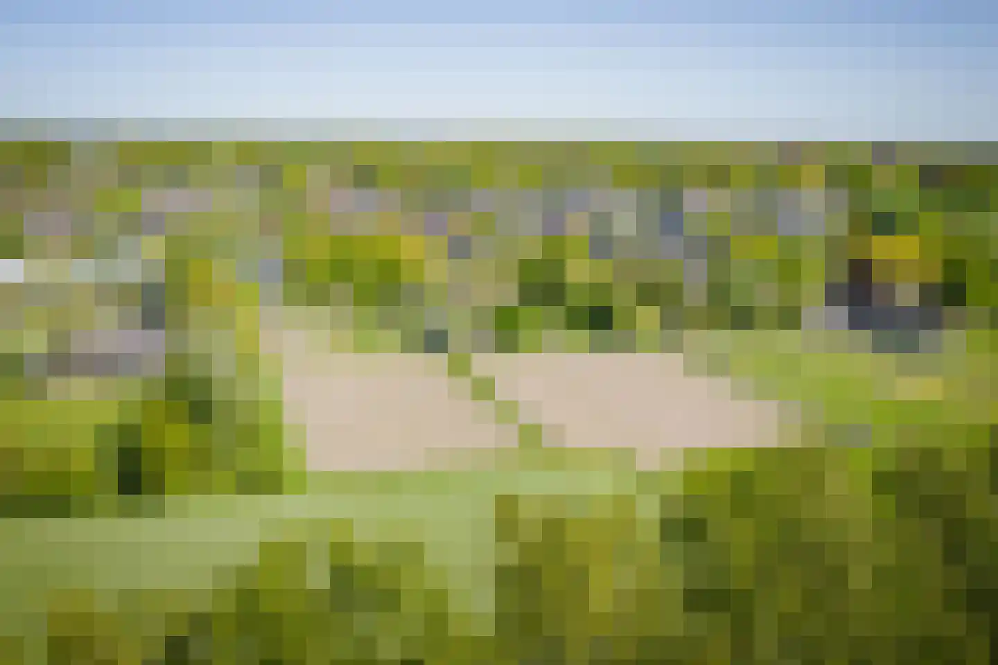 Voordersteeg 4 Twello thumbnail 5