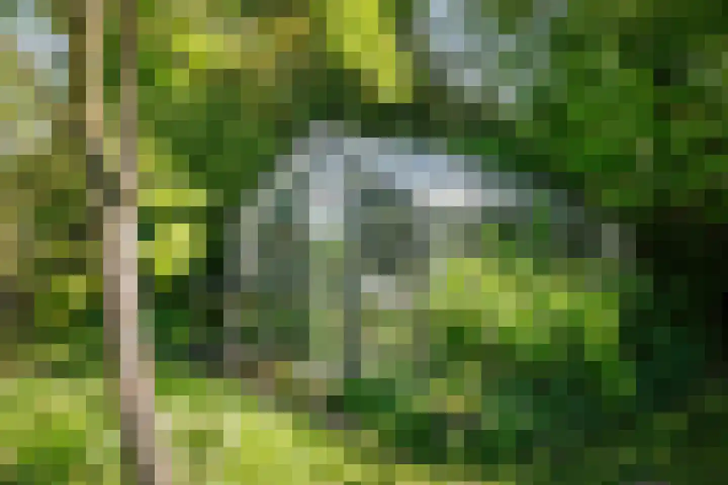 Voordersteeg 4 Twello thumbnail 51