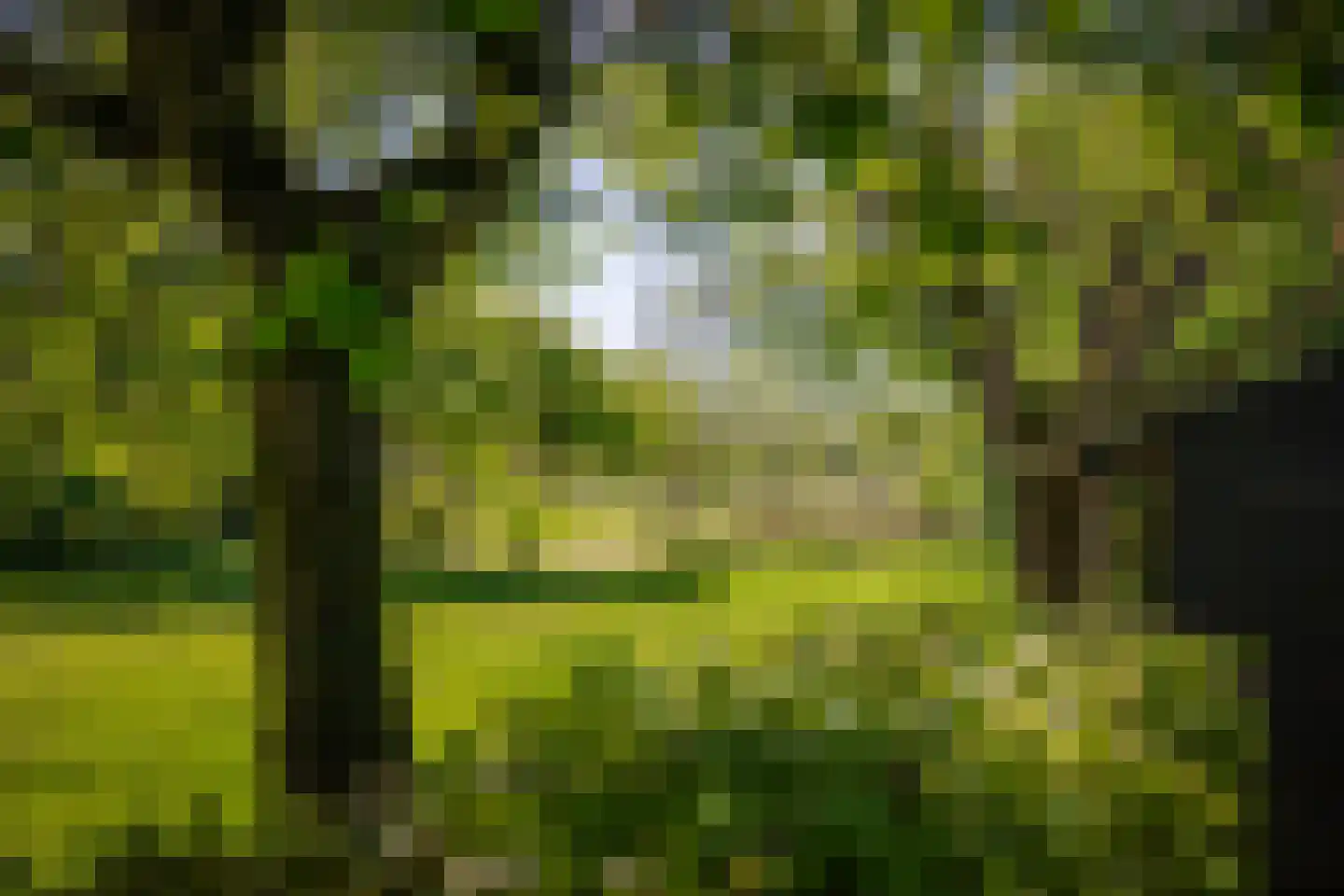 Voordersteeg 4 Twello thumbnail 52