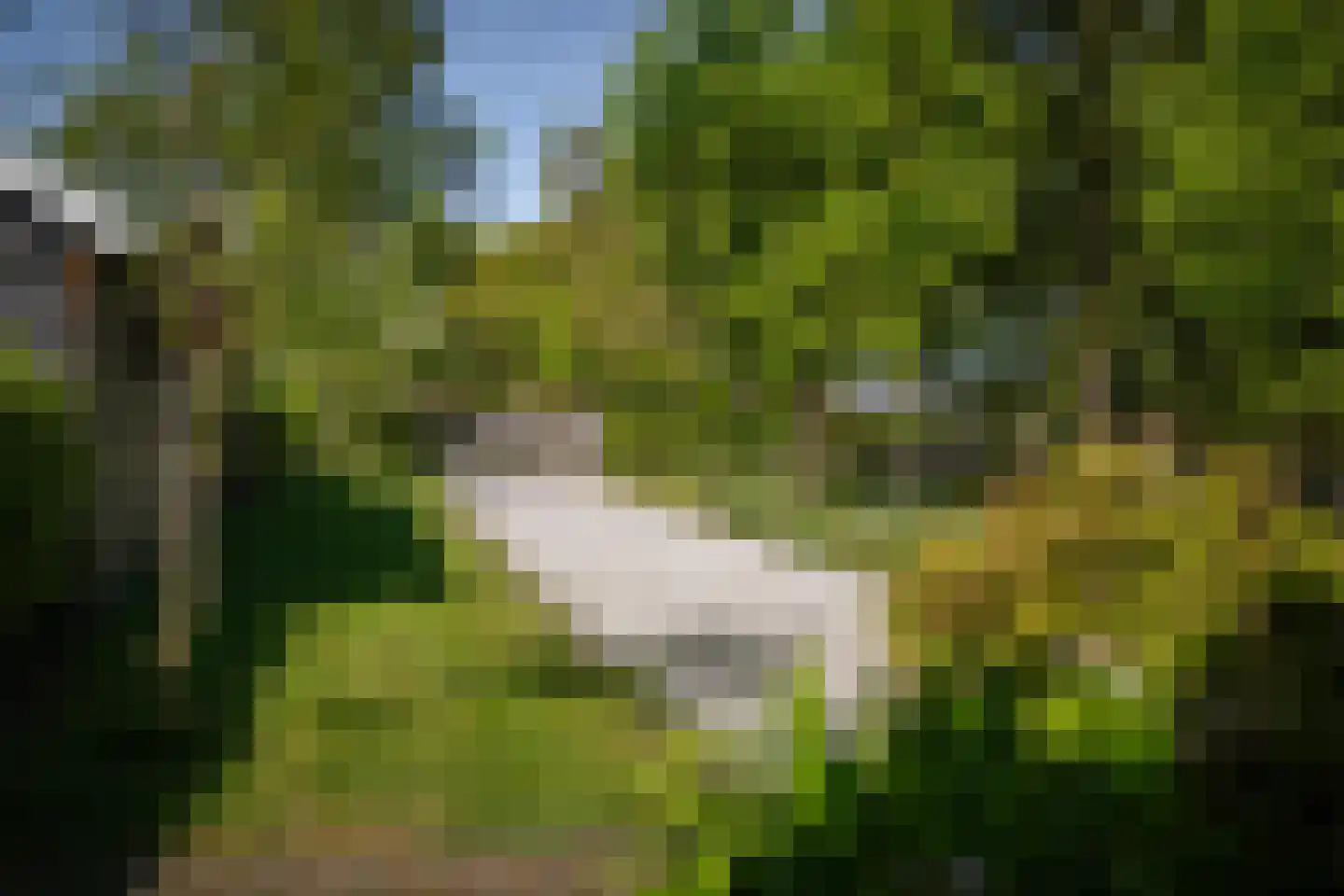 Voordersteeg 4 Twello thumbnail 55