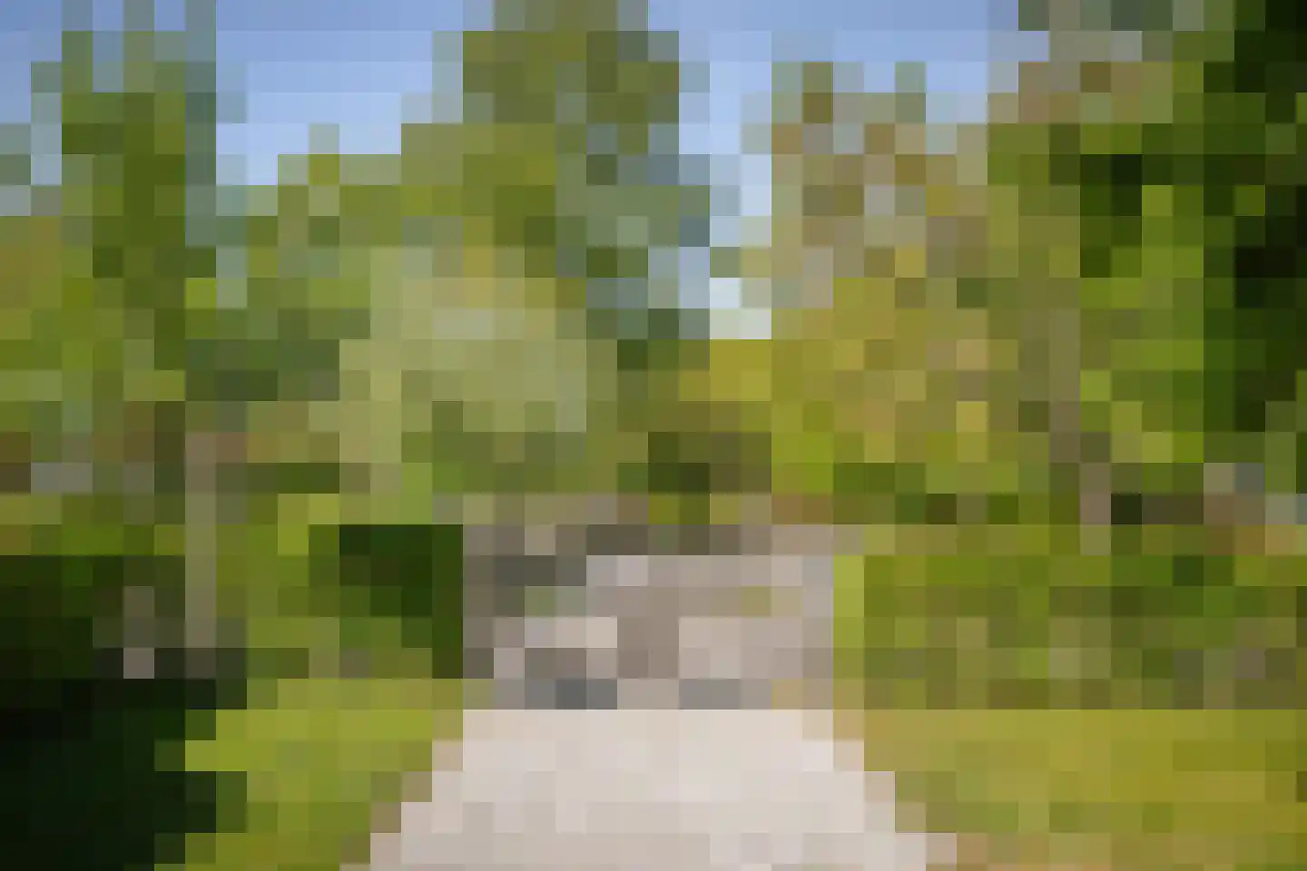 Voordersteeg 4 Twello thumbnail 56