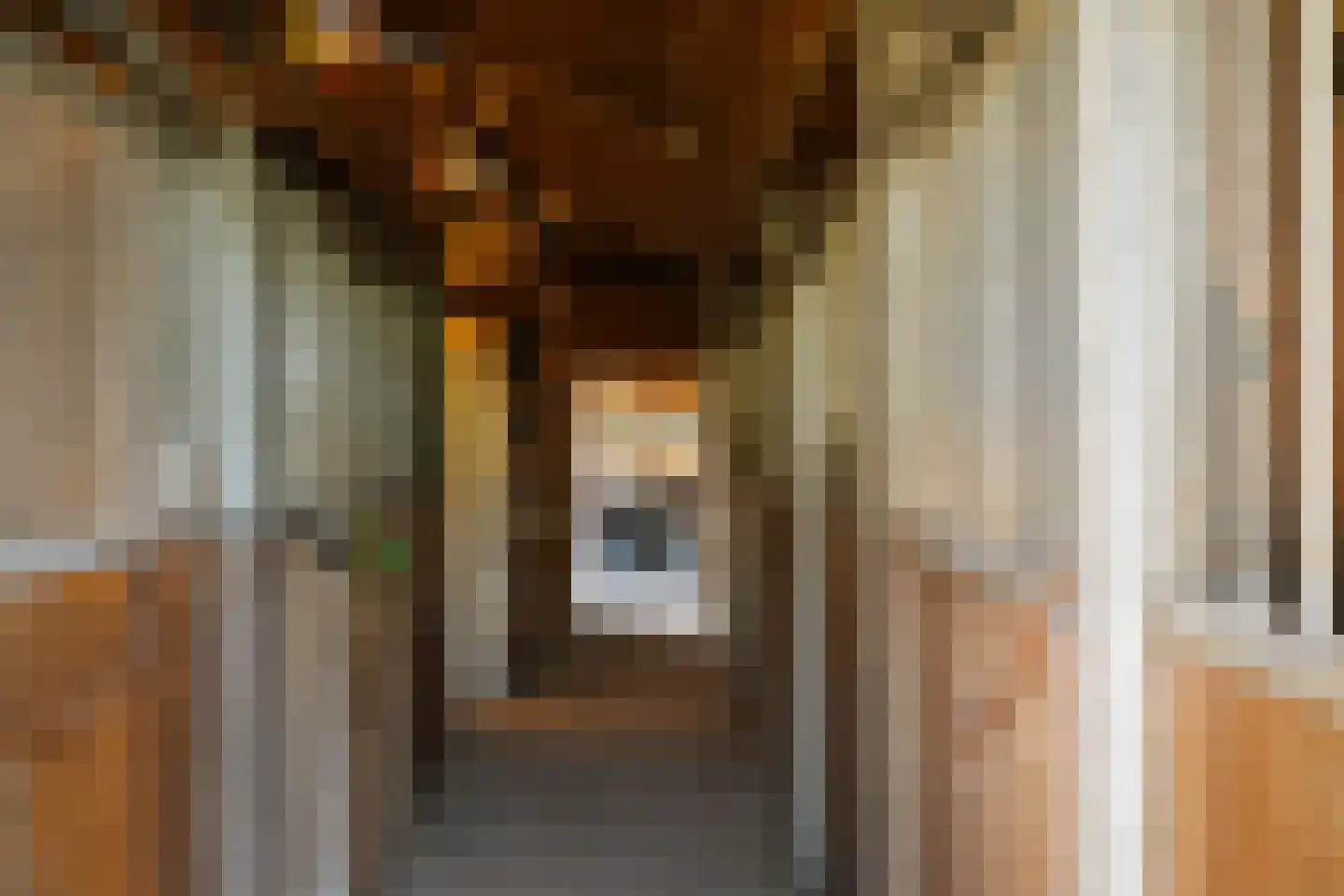 Voordersteeg 4 Twello thumbnail 57