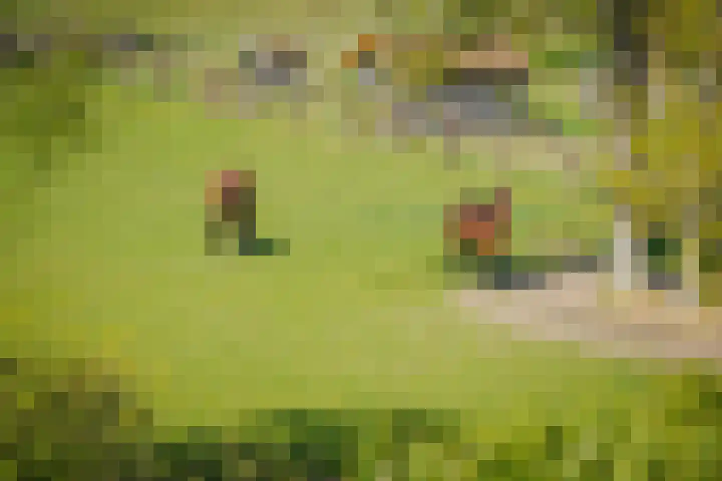 Voordersteeg 4 Twello thumbnail 58