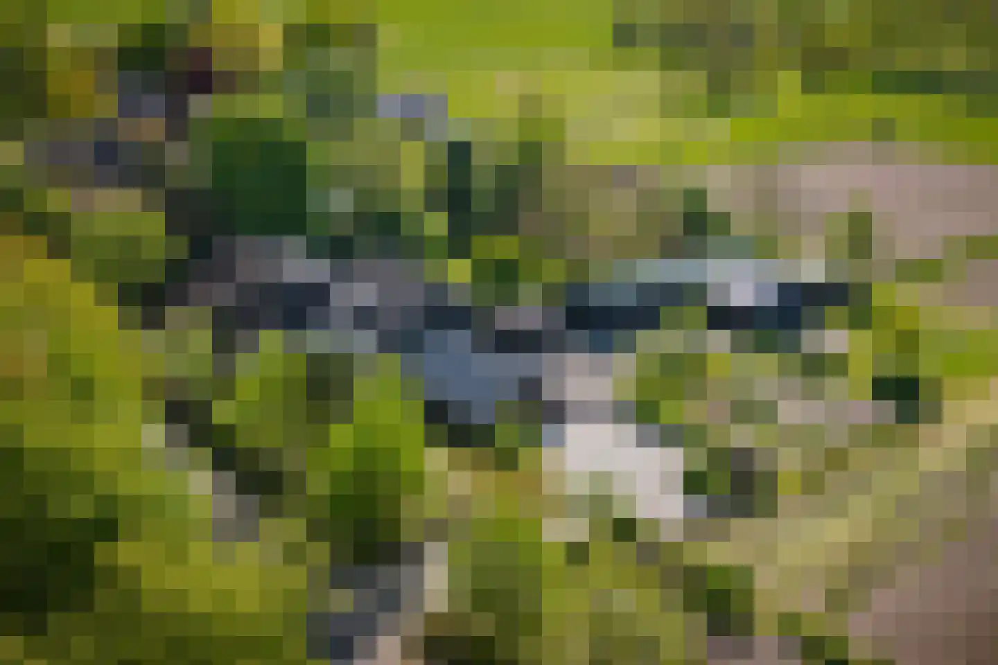 Voordersteeg 4 Twello thumbnail 60