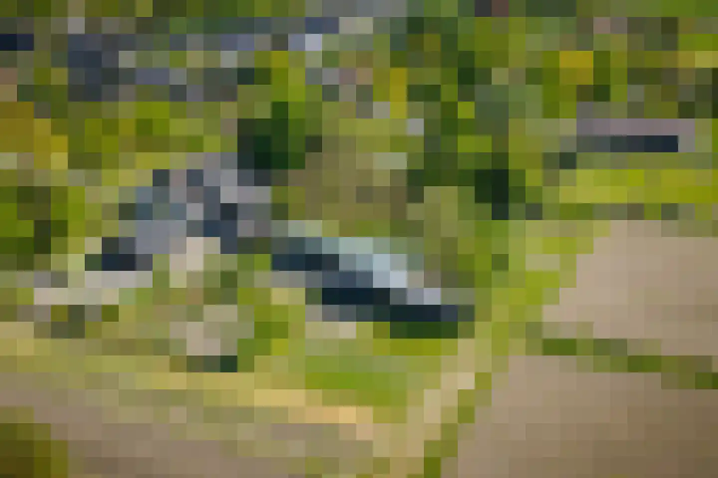 Voordersteeg 4 Twello thumbnail 61