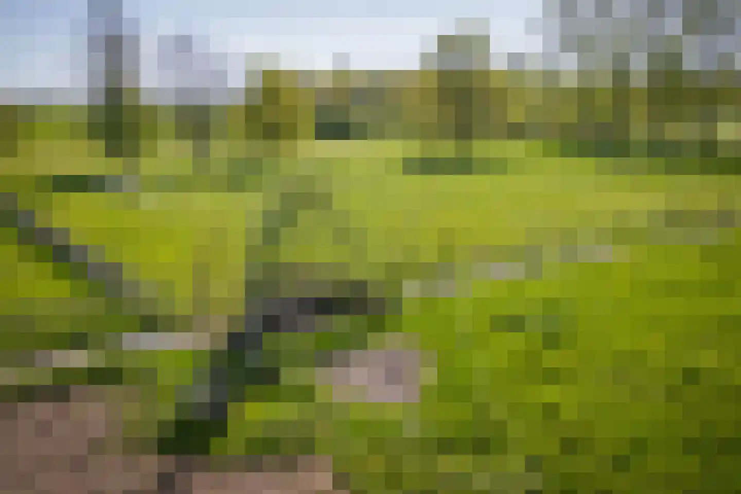 Voordersteeg 4 Twello thumbnail 65