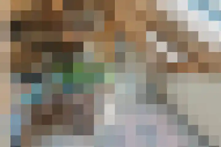 Voordersteeg 5 Twello thumbnail 10