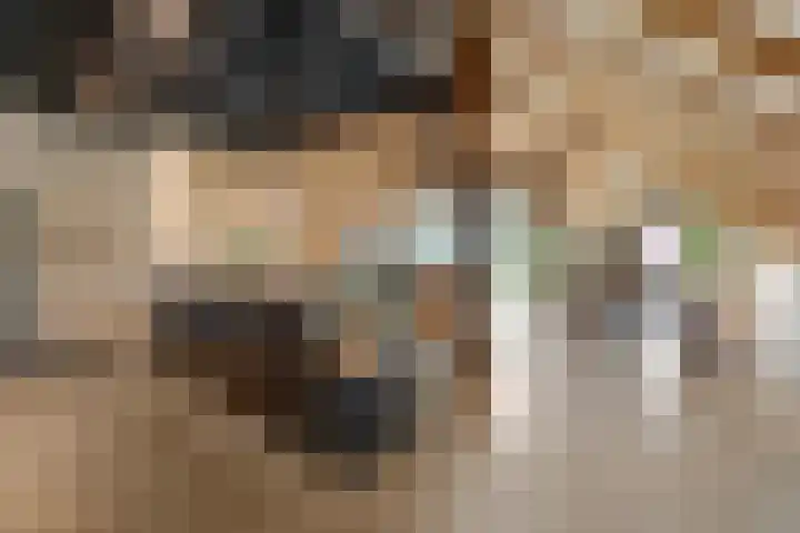 Voordersteeg 5 Twello thumbnail 14