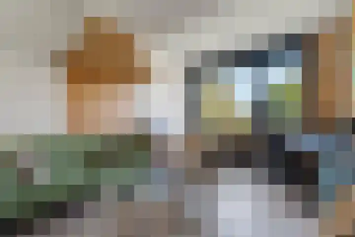 Voordersteeg 5 Twello thumbnail 18