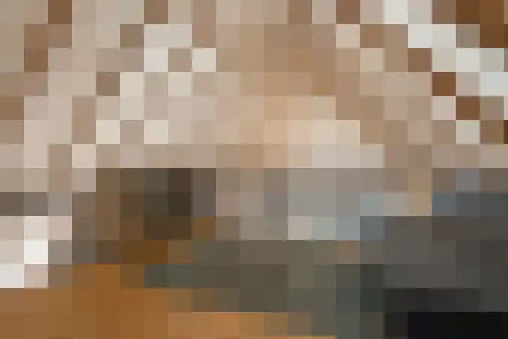 Voordersteeg 5 Twello thumbnail 21