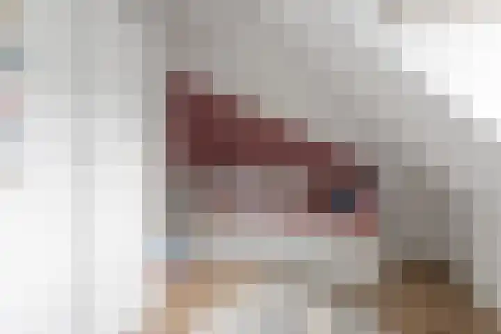 Voordersteeg 5 Twello thumbnail 23