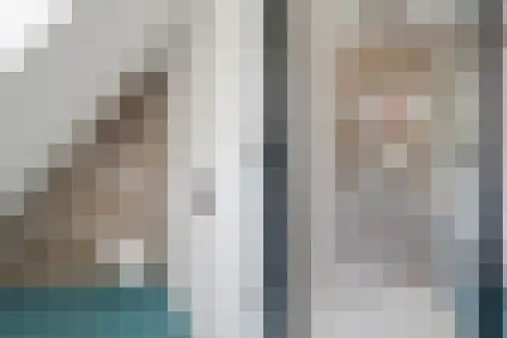 Voordersteeg 5 Twello thumbnail 29