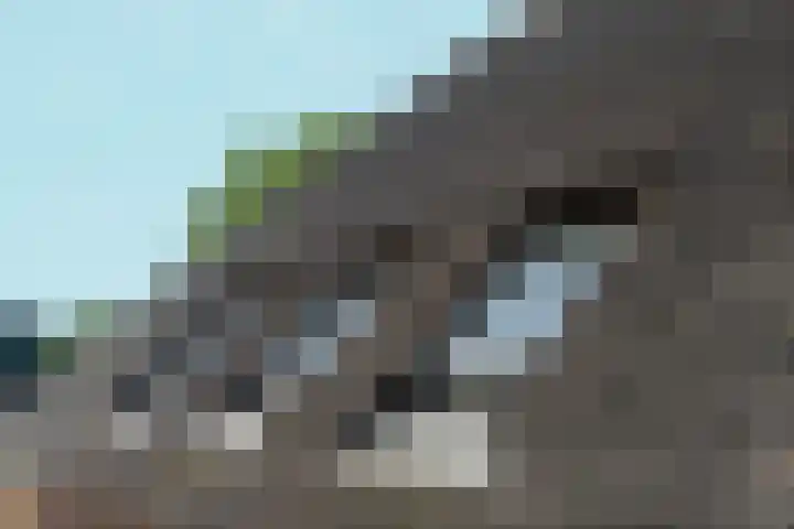 Voordersteeg 5 Twello thumbnail 31