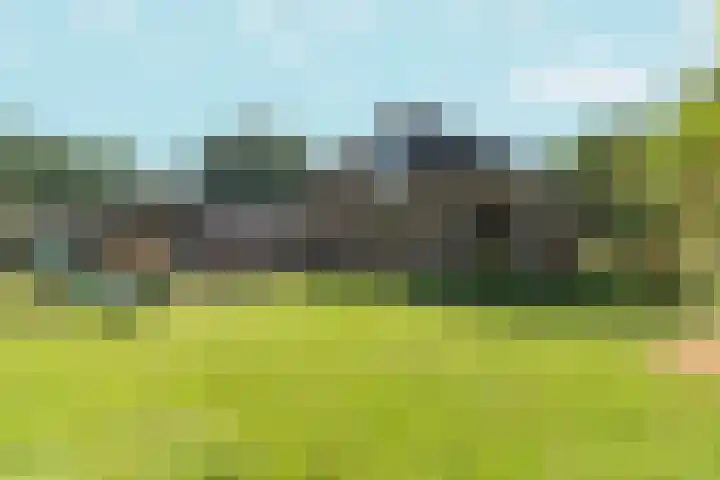 Voordersteeg 5 Twello thumbnail 32