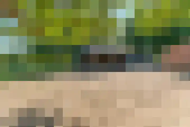 Voordersteeg 5 Twello thumbnail 39
