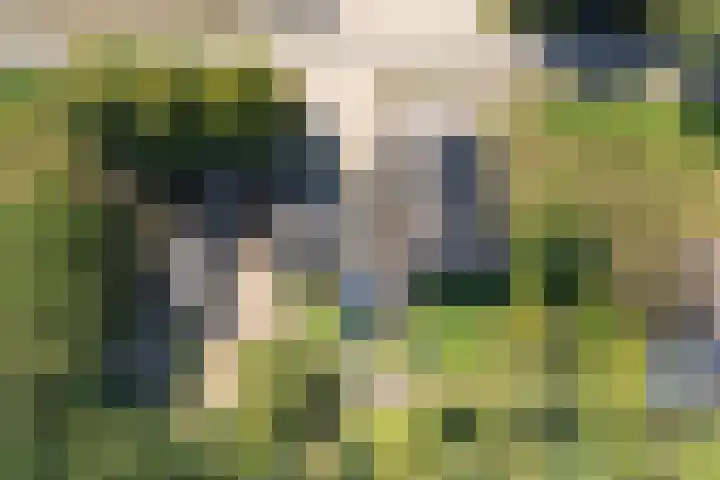 Voordersteeg 5 Twello thumbnail 4