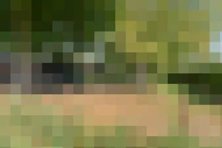 Voordersteeg 5 Twello thumbnail 40