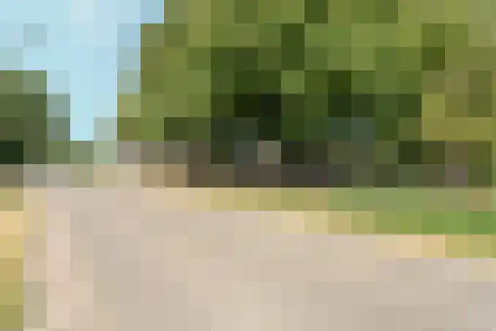 Voordersteeg 5 Twello thumbnail 42