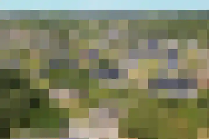 Voordersteeg 5 Twello thumbnail 43