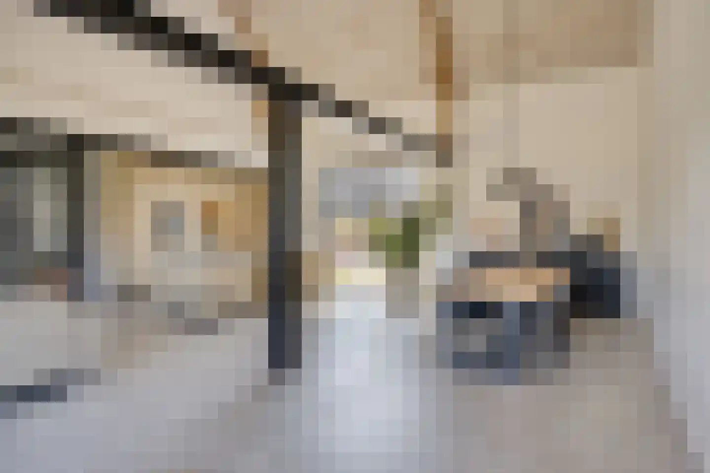 Voorderstraat 1 Riethoven thumbnail 18