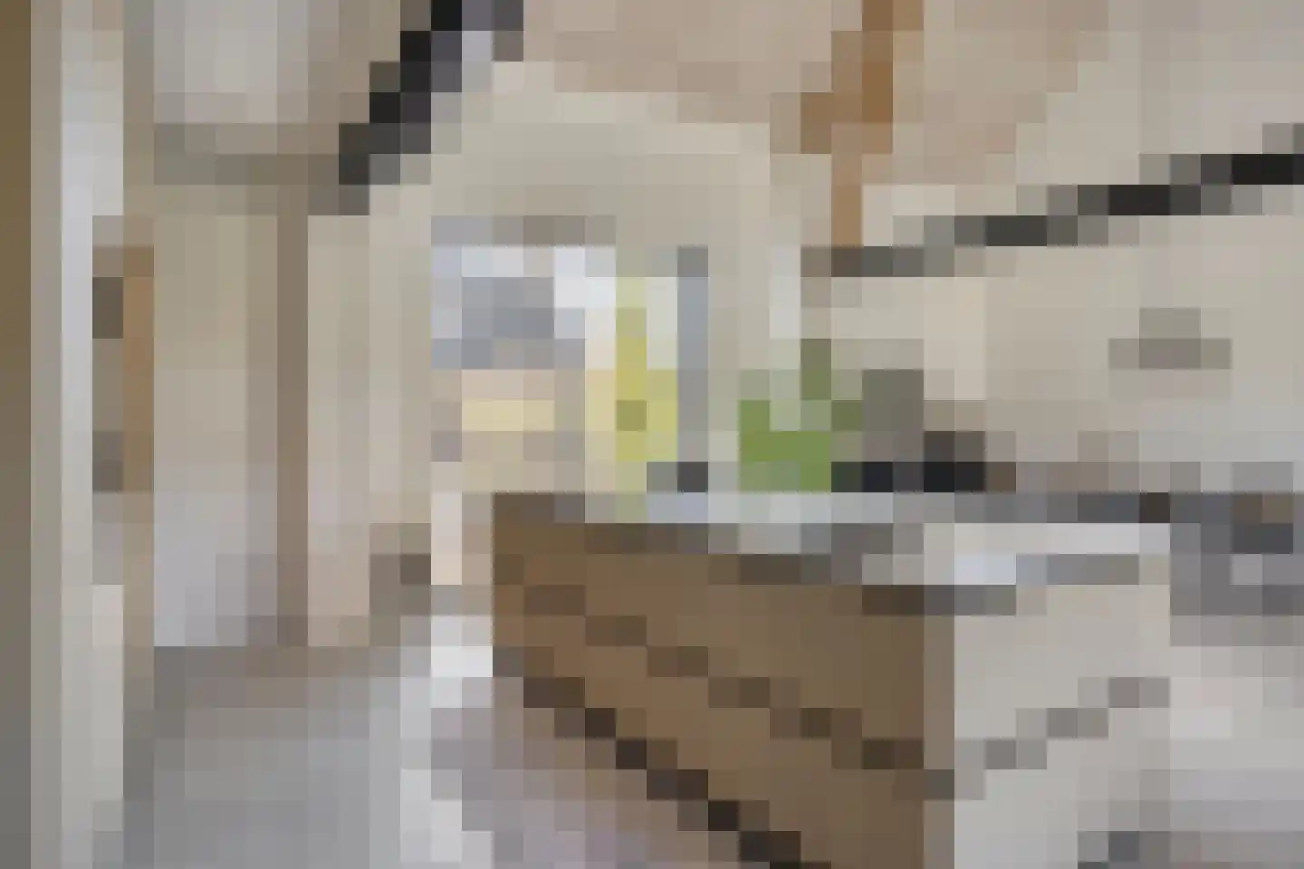 Voorderstraat 1 Riethoven thumbnail 22