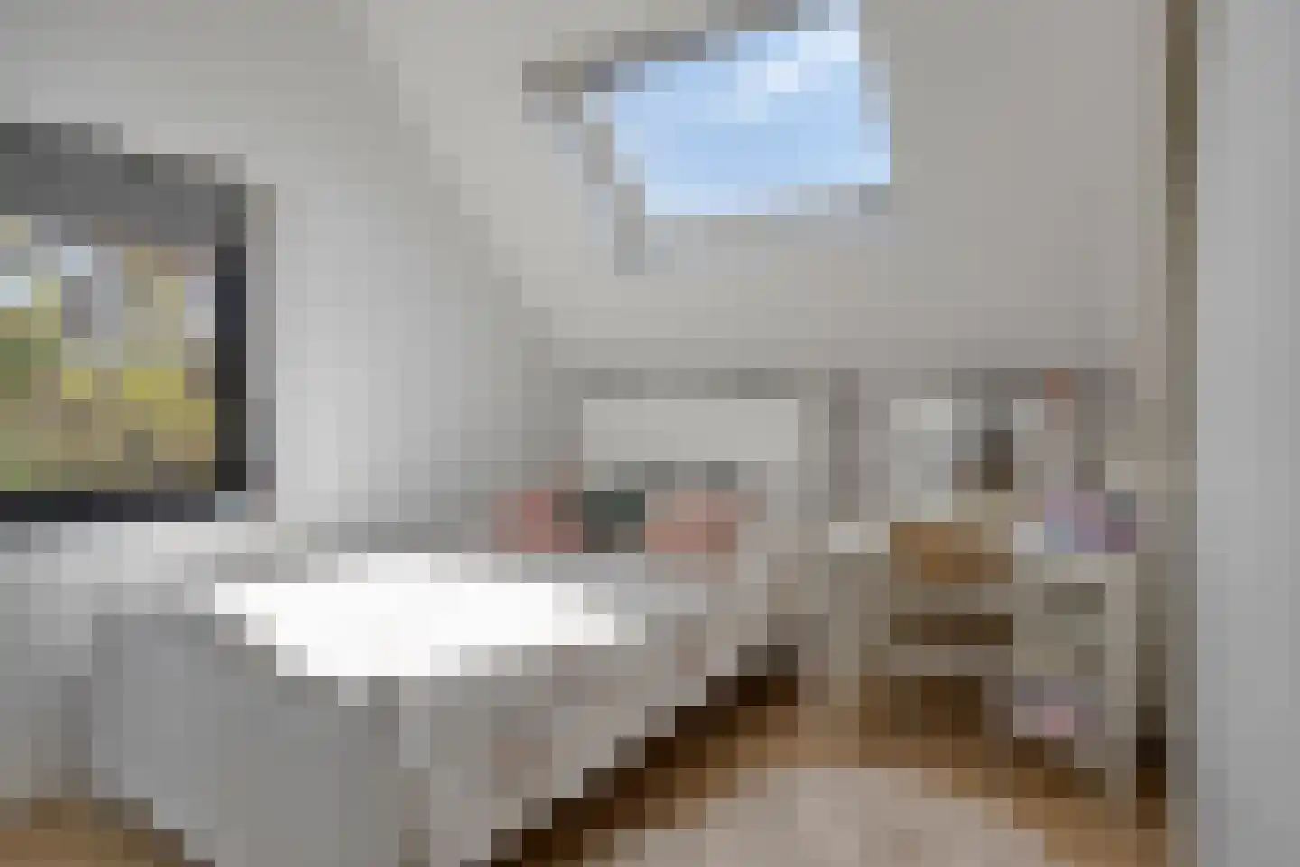 Voorderstraat 1 Riethoven thumbnail 46