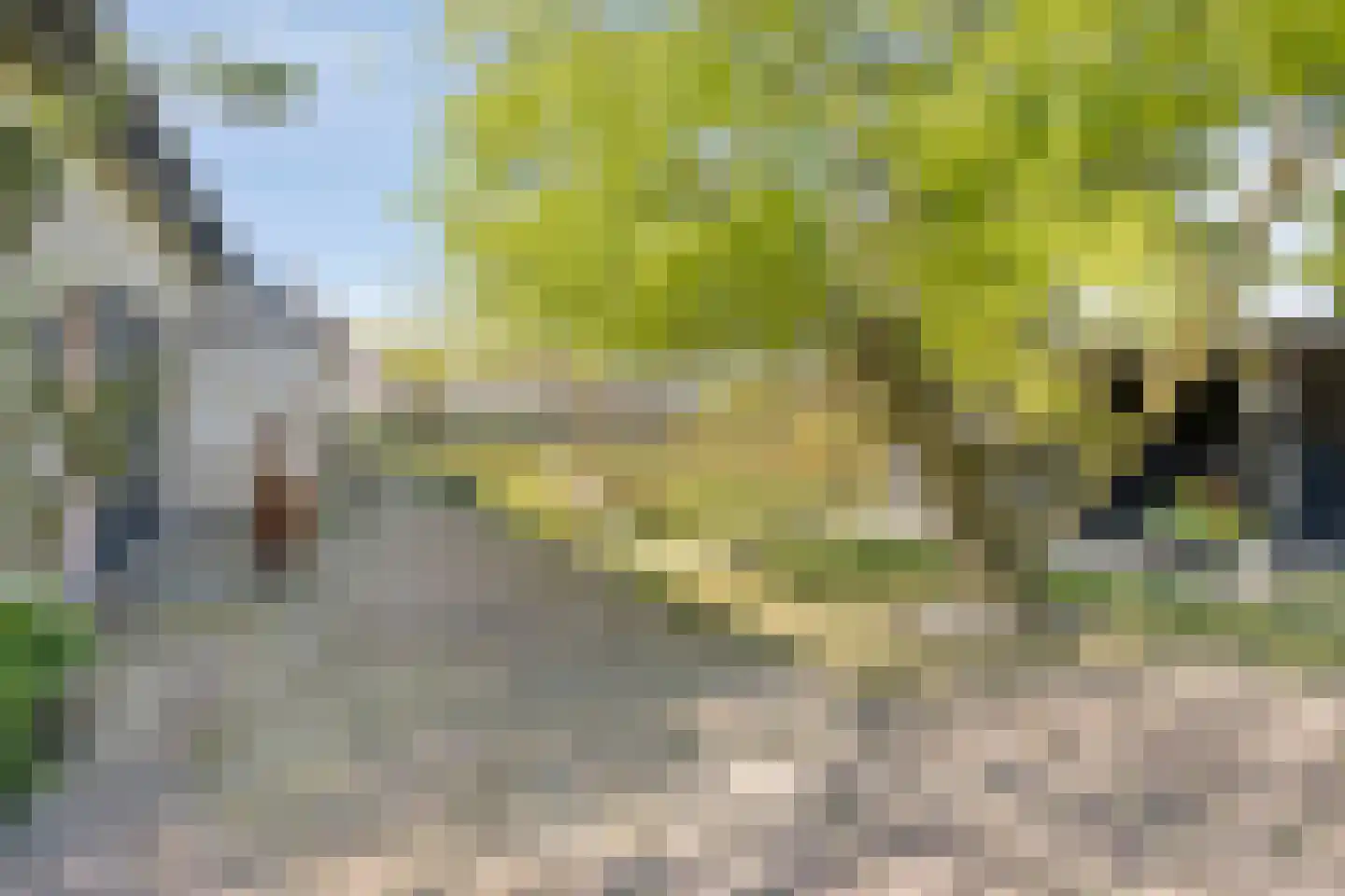 Voorderstraat 1 Riethoven thumbnail 48